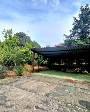 Jardín
